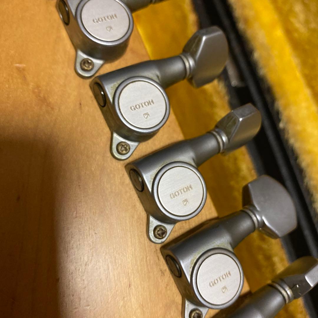 FERNANDES SUSTAINER純正ソフトケース