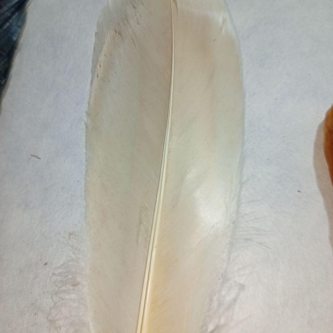 茶道具　羽箒3本セット