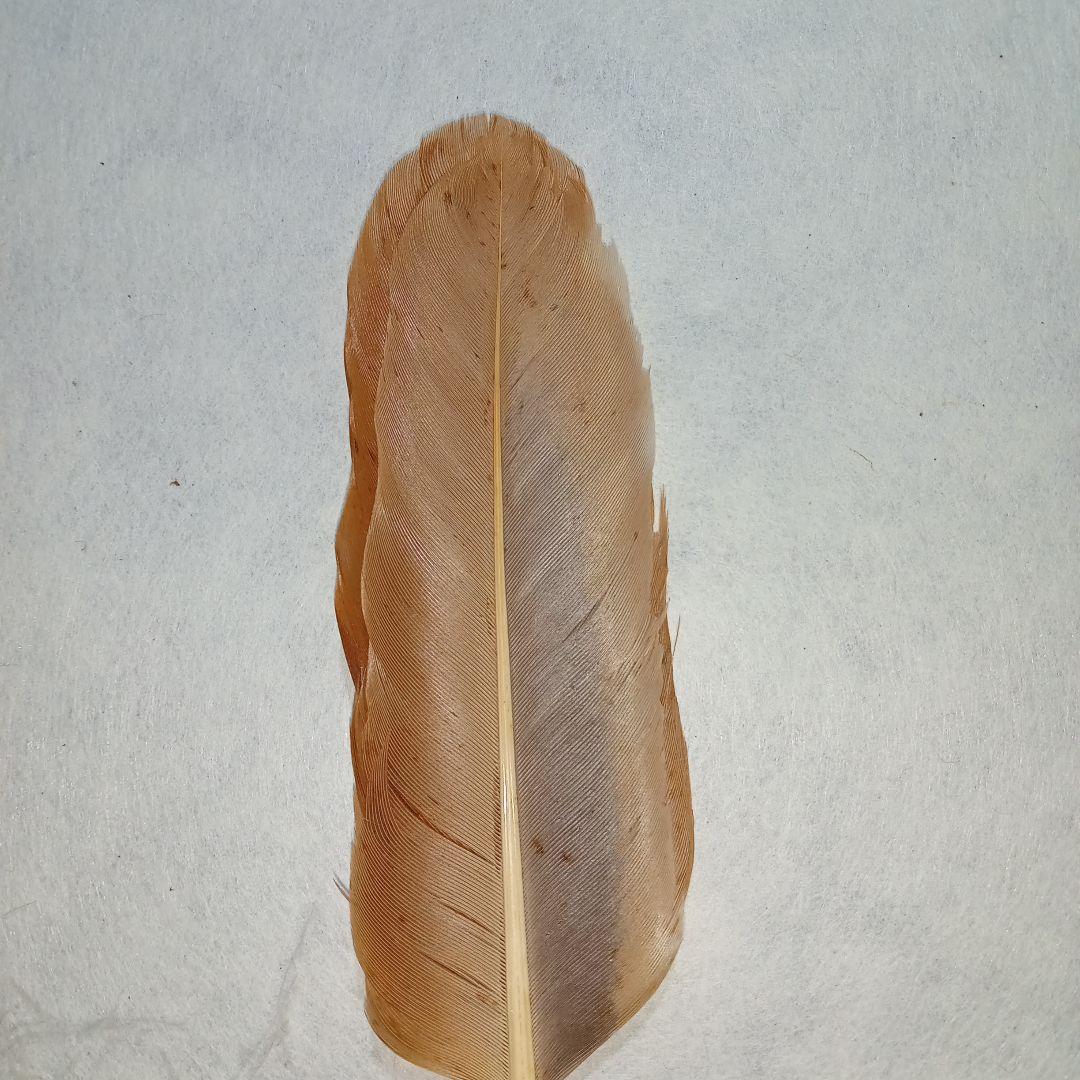 茶道具　羽箒3本セット