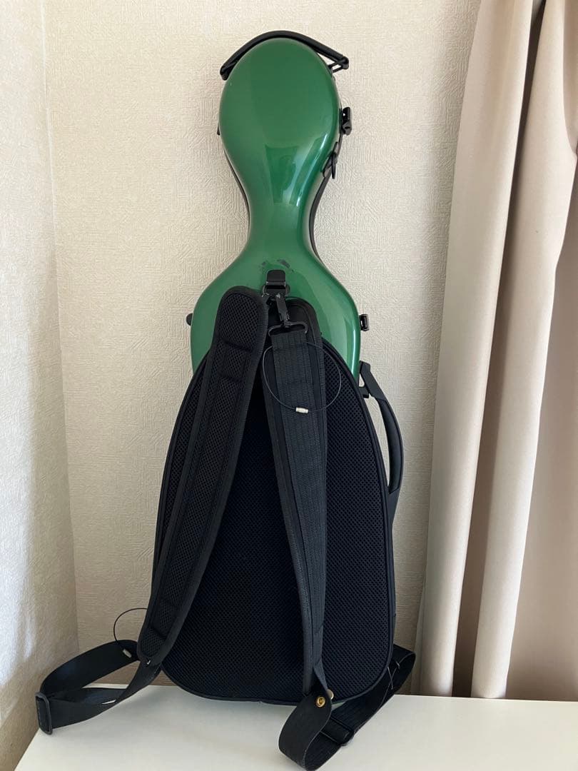 カールヘフナー　4/4 バーズアイ(鳥目杢)