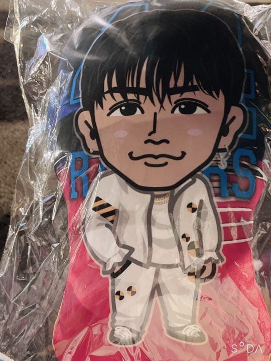 日高竜太　クッション