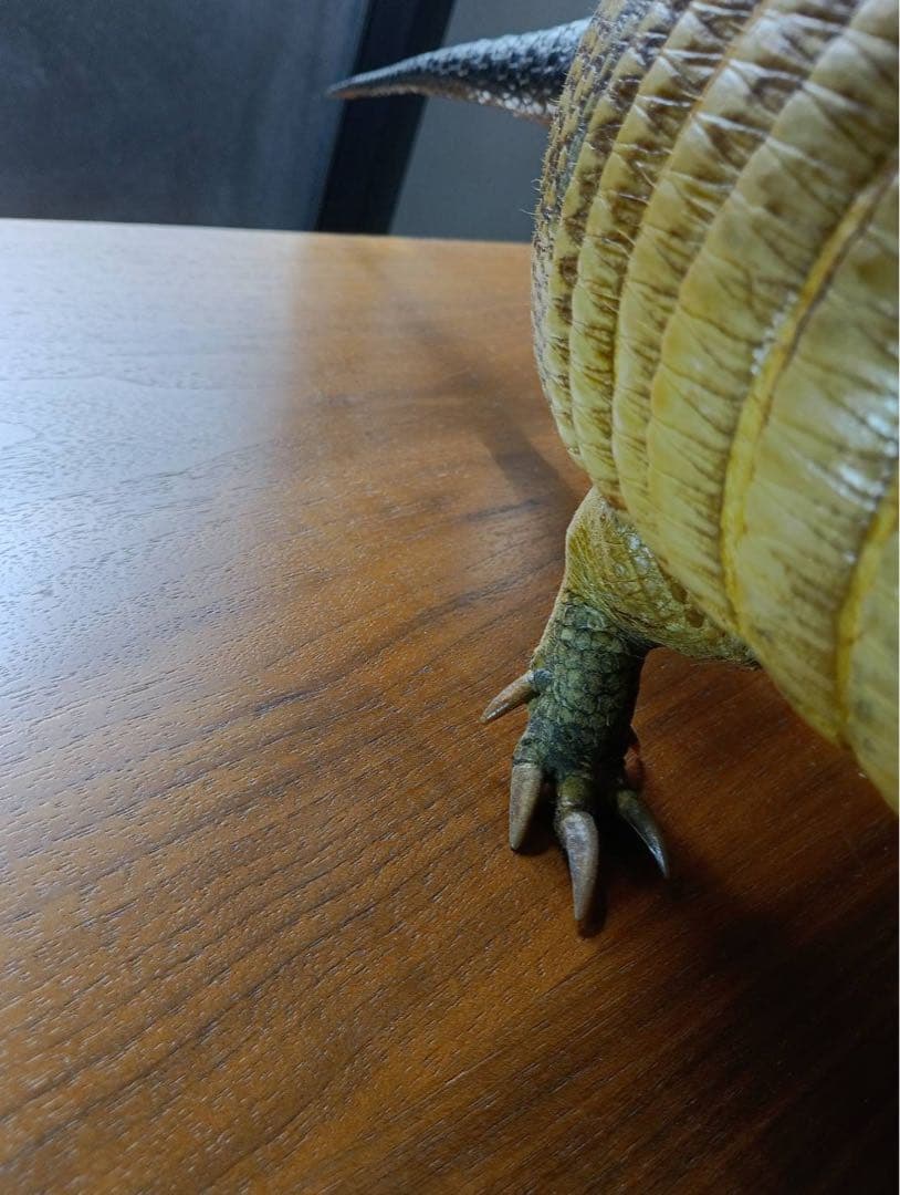 ココノオビアルマジロ　剥製　ワシントン条約 ・日本国内法（種の保存法）対象外