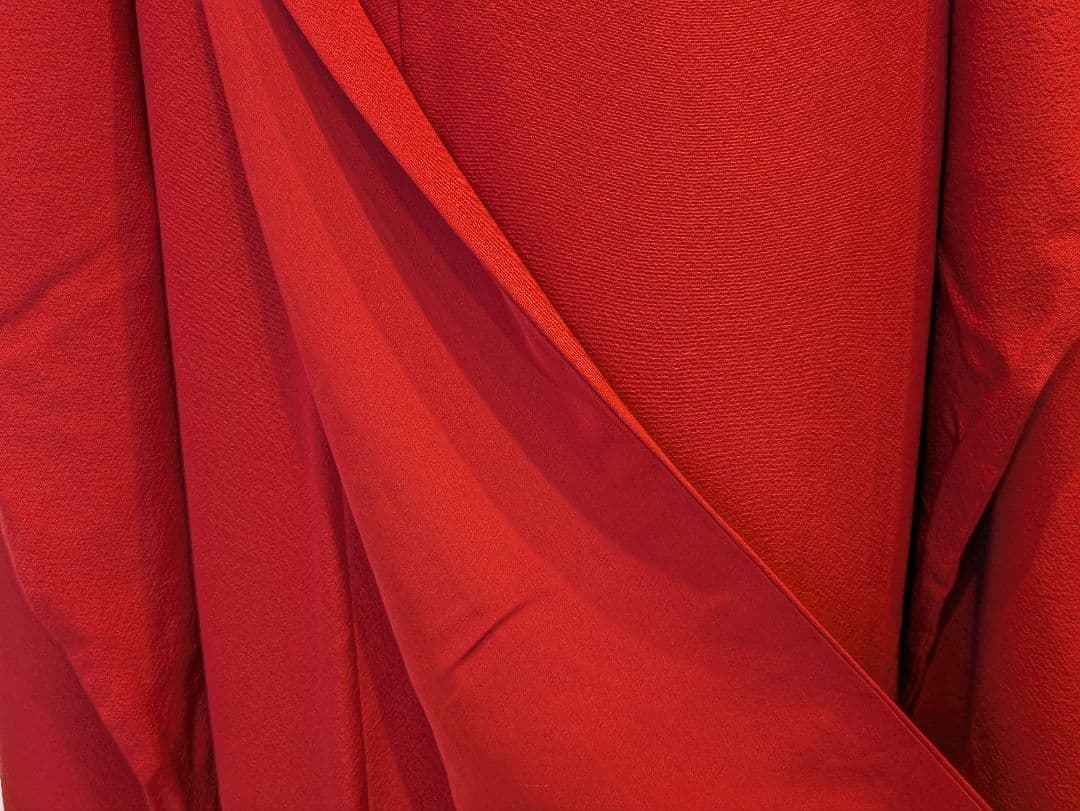 振袖フルセット 身丈169裄70.5 ロング丈 赤 色無地振袖 逸品 成人式