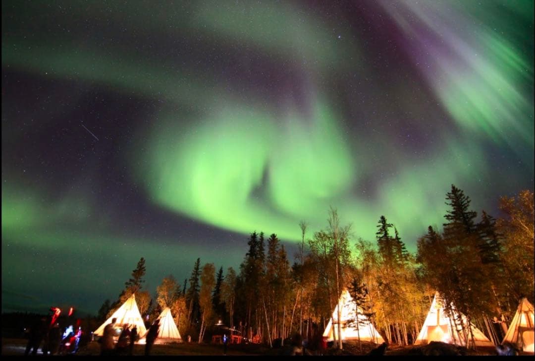 Tokina 超広角ズームレンズ AT-X 11-20 F2.8 PRO DX