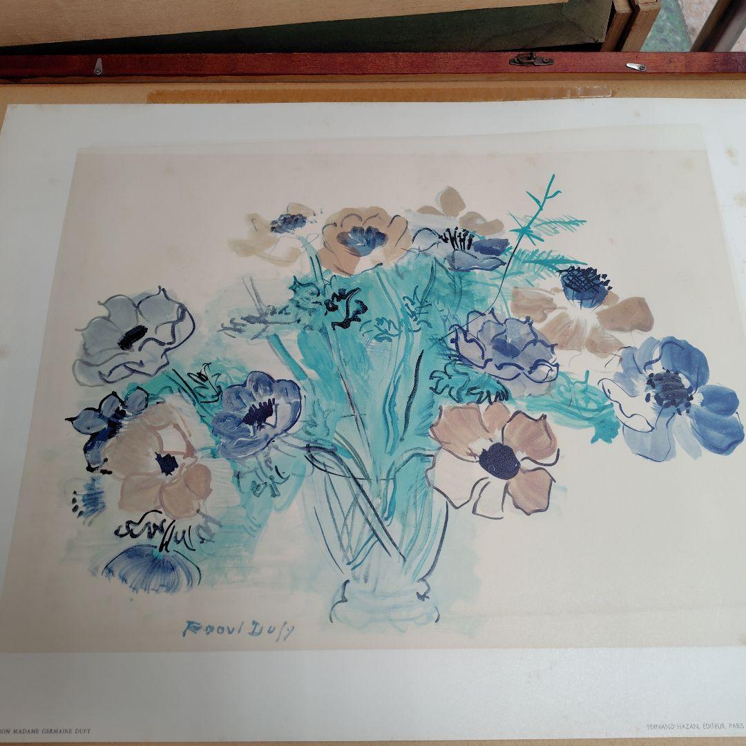 アネモネ　デュフ