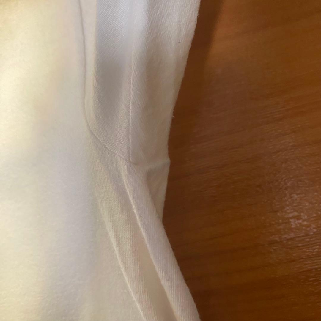 激レア 人気デザイン 90s らんま1/2 tシャツ ヴィンテージ Hanes