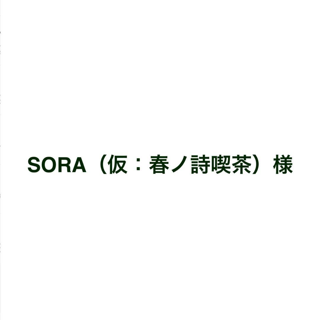 SORA（仮：春ノ詩喫茶）様