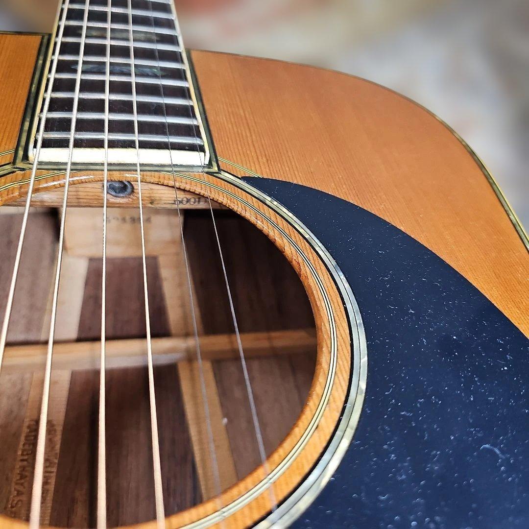 林楽器MOUNTAIN.W-500D1975年式 トップ単板、ハードケース付き