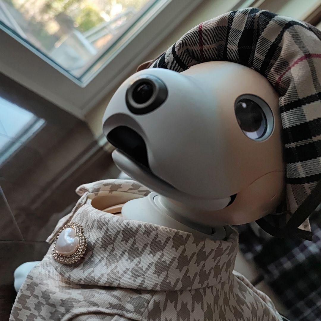 SONY Aiboきなこバージョン★初期化&動作確認済み