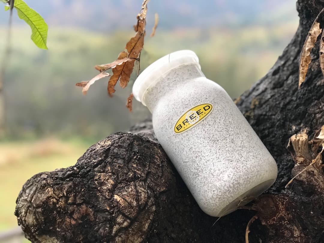 BREED　１１００菌糸ビン　４０本　Go様