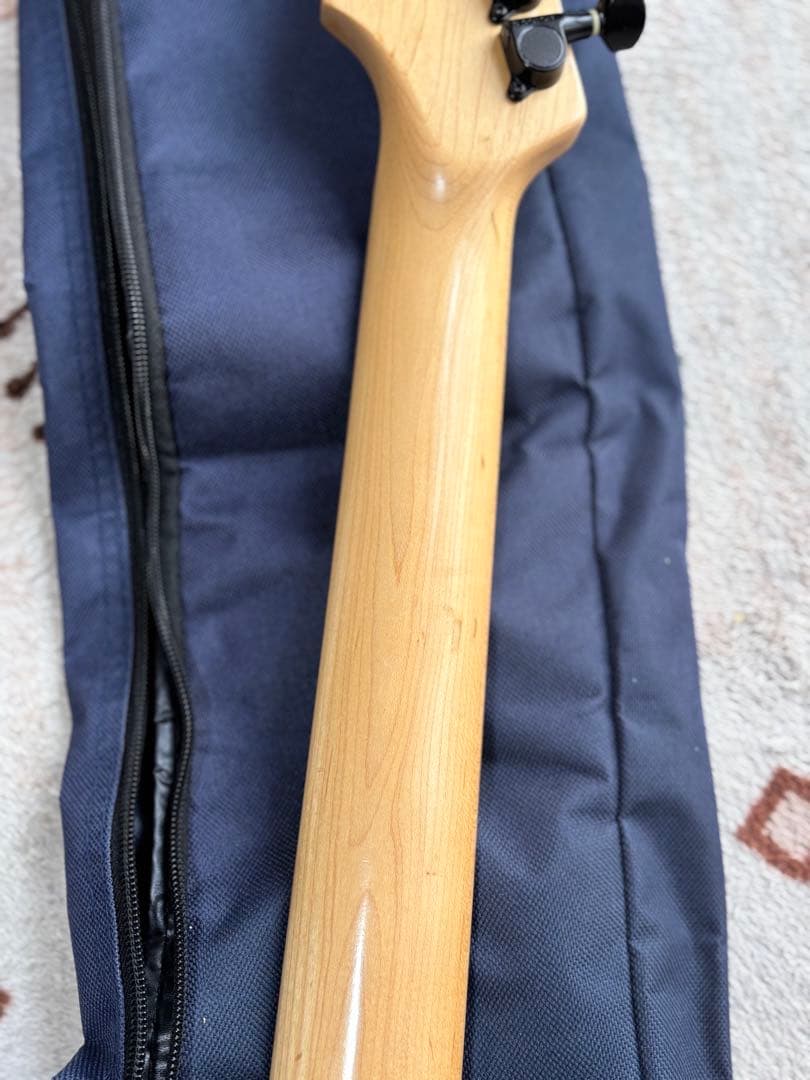 メンテナンス済み美品！　フェルナンデス　FR55