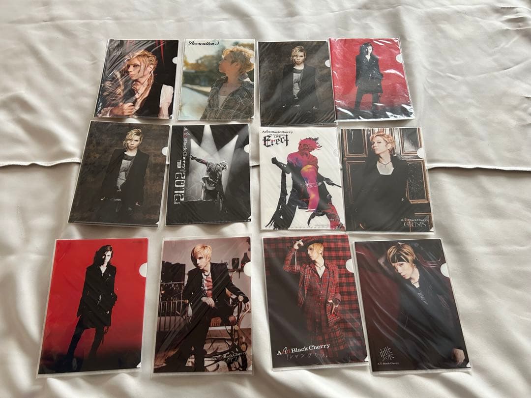 値上げ予定！Acid Black Cherry グッズまとめ売り③