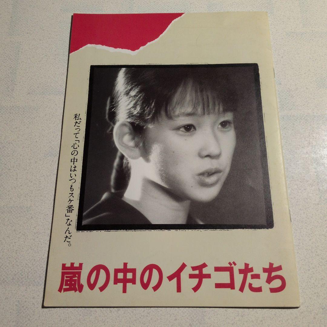 映画パンフ　嵐の中のイチゴたち　1989年　チラシつき