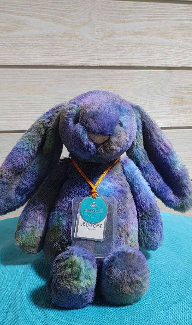 うさぎ 韓国限定 jelly cat 新品