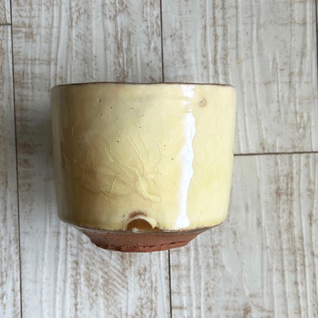 布志名　舩木窯　舩木伸児　湯呑