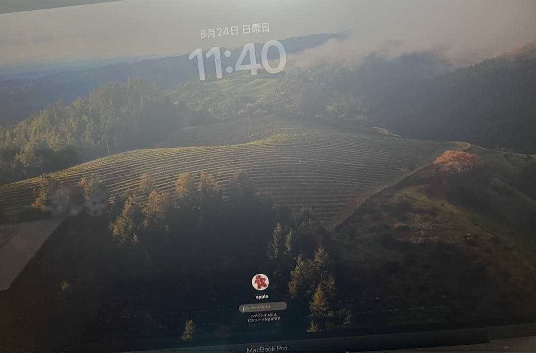 MacBookPro16,1 SSD1TB RAM64GB i9ほぼ限界スペック