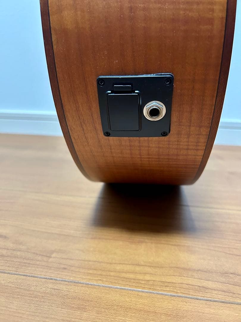 【美品】Aria FEB-FL エレアコベース　フレットレス