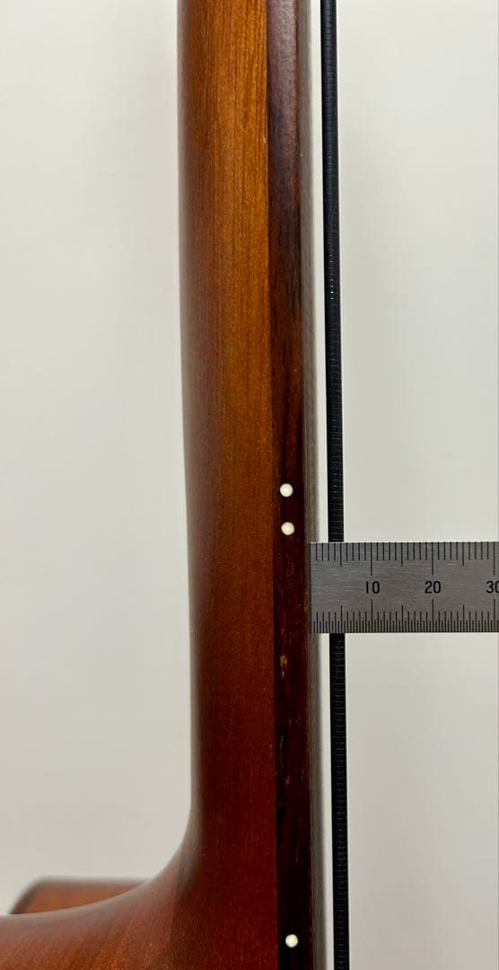 【美品】Aria FEB-FL エレアコベース　フレットレス