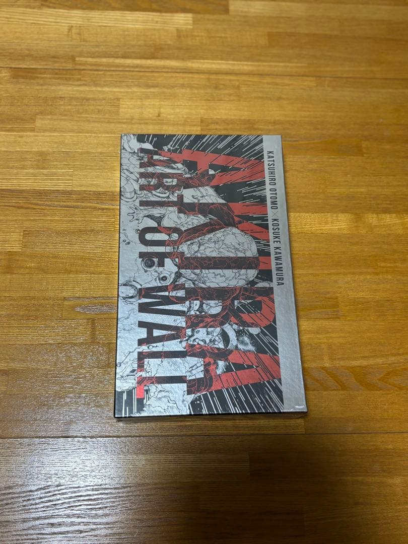 akira art of wall スペシャルブック