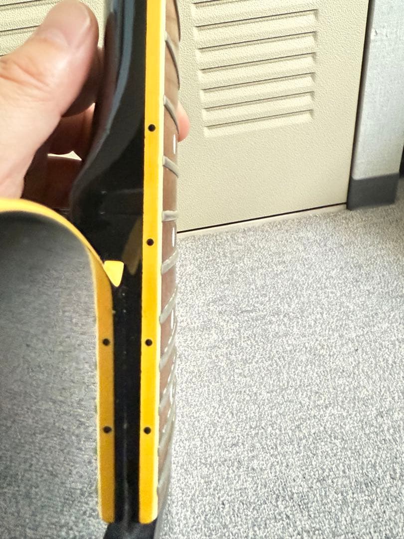 FERNANDES TEJ-75　白文字F.G.I