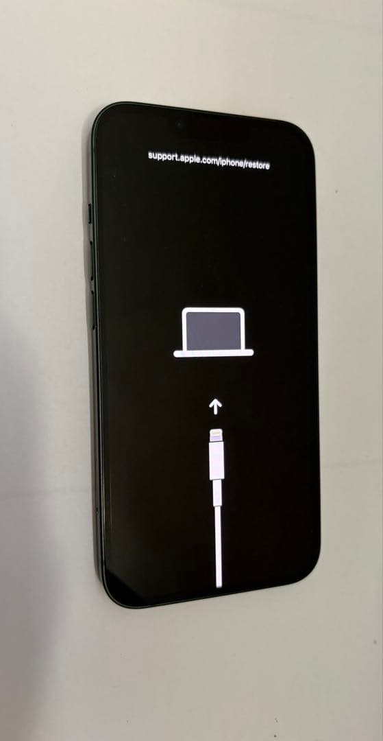 ジャンク iPhone13 起動不可 エラー9 美品