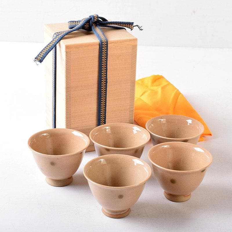 煎茶道具　虫明焼　煎茶器　5客　時代箱　V　8257