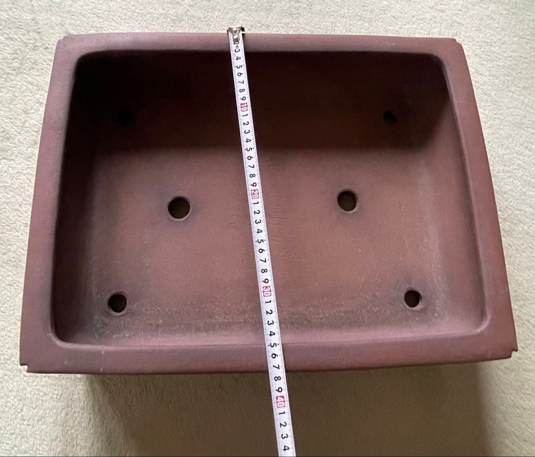 礼峰　盆栽　鉢　48.5cm　長方鉢　大型