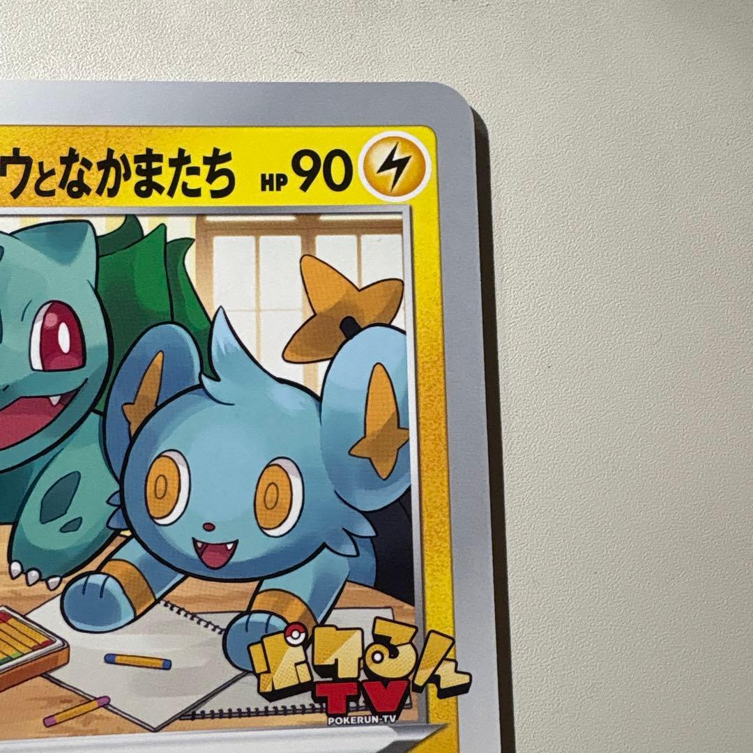 S-P ポケるんTVのピカチュウとなかまたち（ジャンボ）_ポケるんTVコラボ …