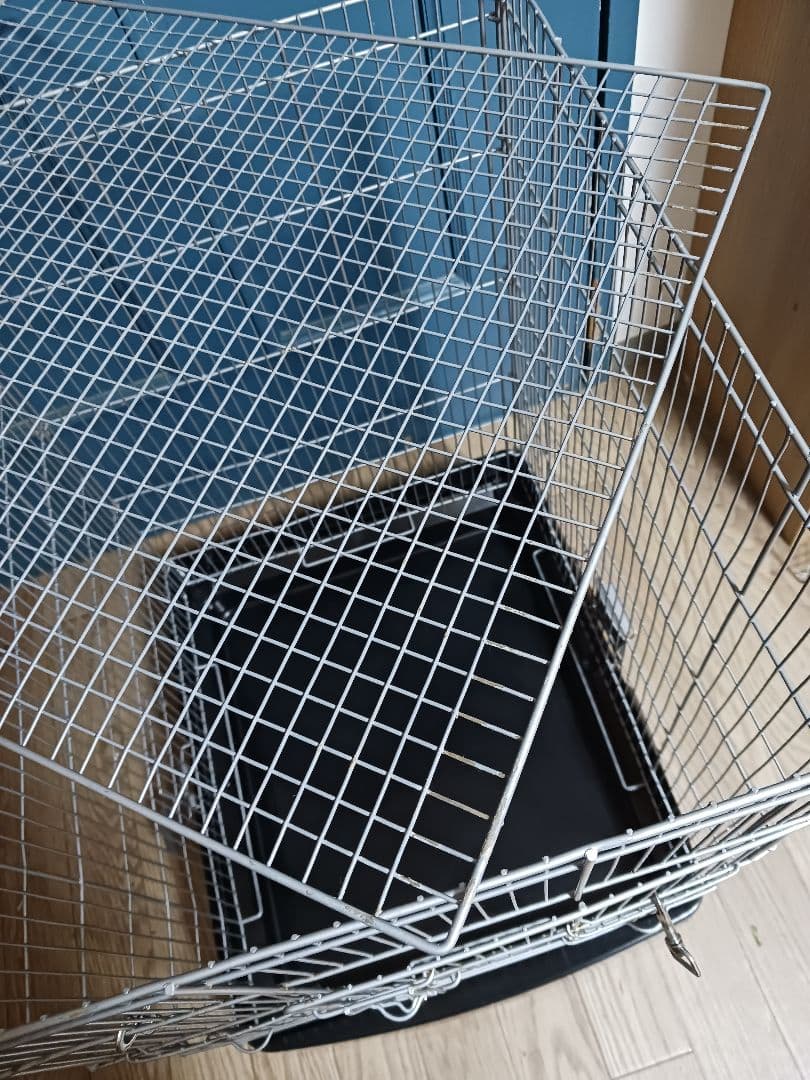 シマリス 飼育セット