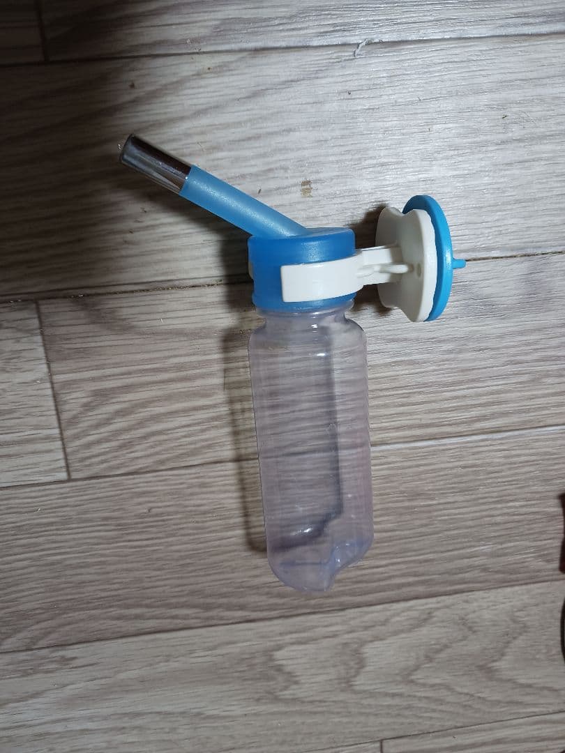 シマリス 飼育セット