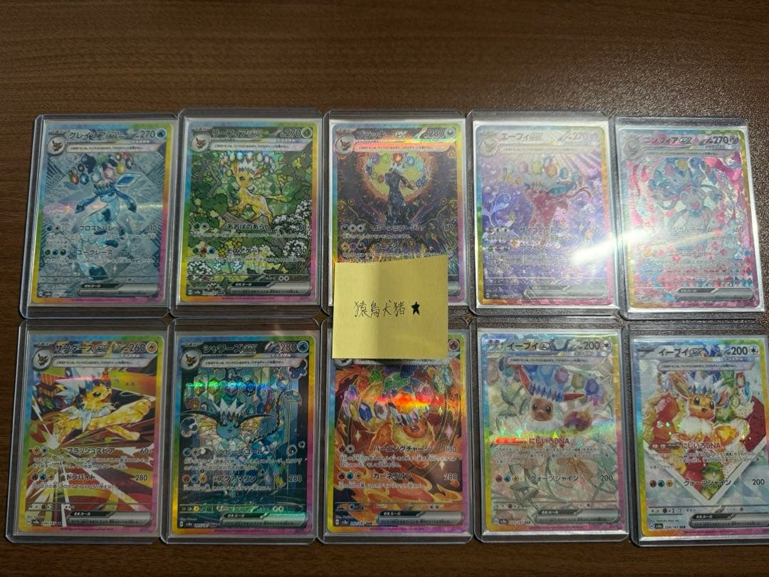 ブイズSARコンプリート