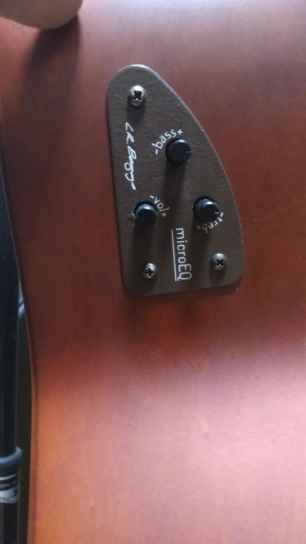 ❤️弦高調整済「シーガル S6+FOLK MEQ エレアコ 」＋ケース　指弾き良