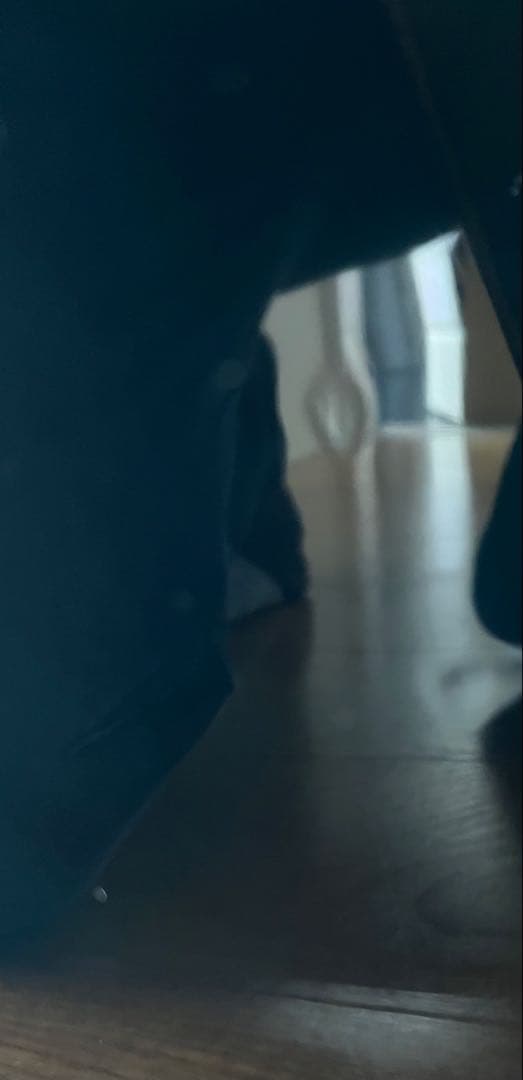 【超軽量3.5kg】TOKAI Love Rock スタジオplek調整済