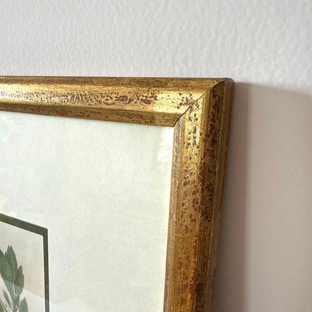 ボタニカルアート額縁絵　アンティーク