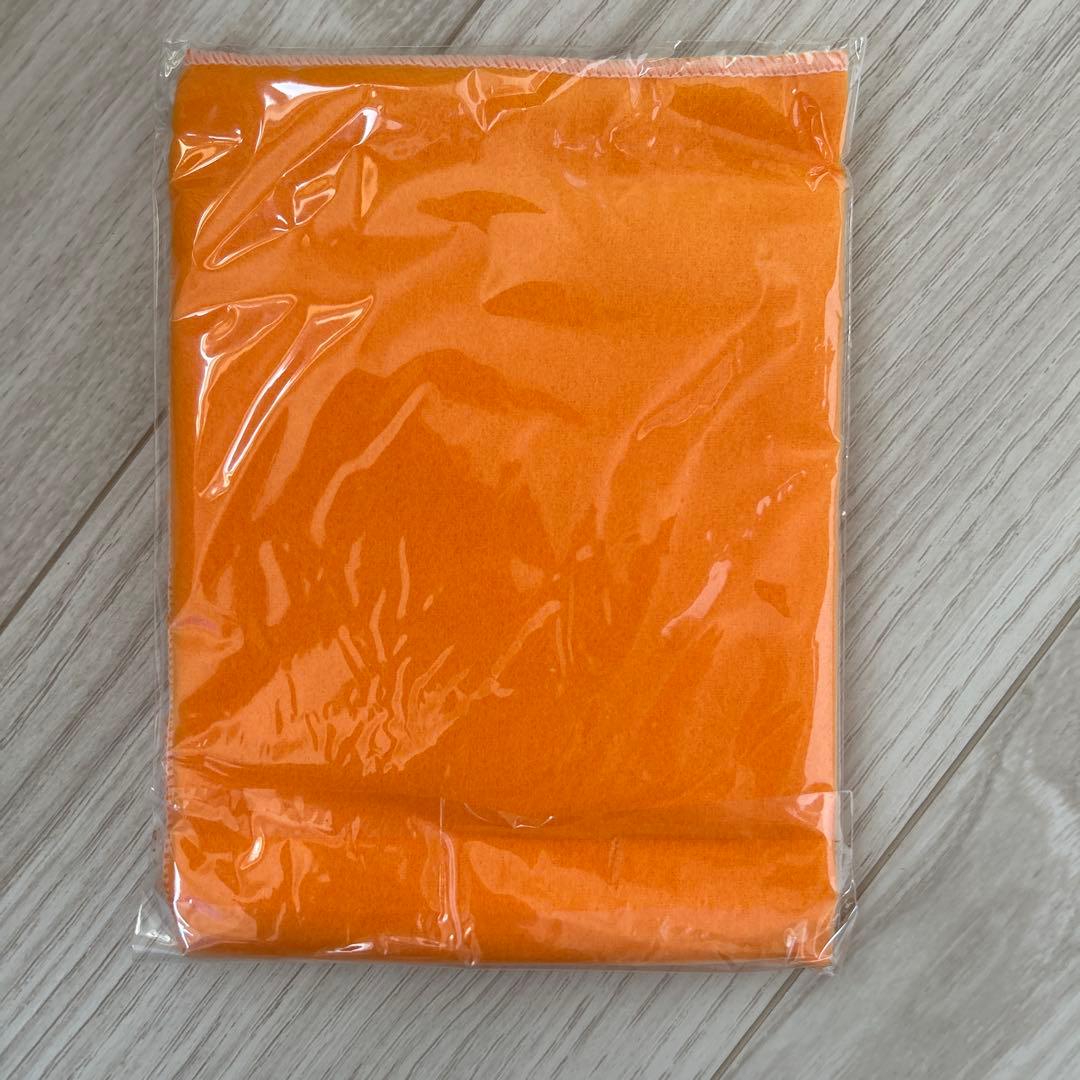 Laid back テレキャスタータイプ ギター 付属品付き