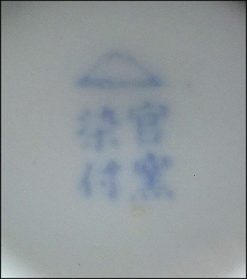 深川製磁 染付 下り藤に燕図 大花瓶 高約40.5cm 有田焼 t92783