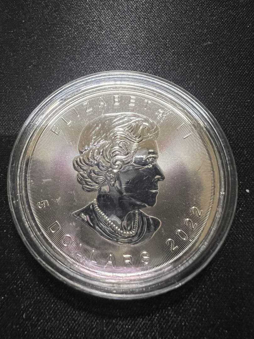 カナダ 1オンス メープルリーフ銀貨 管理番号31