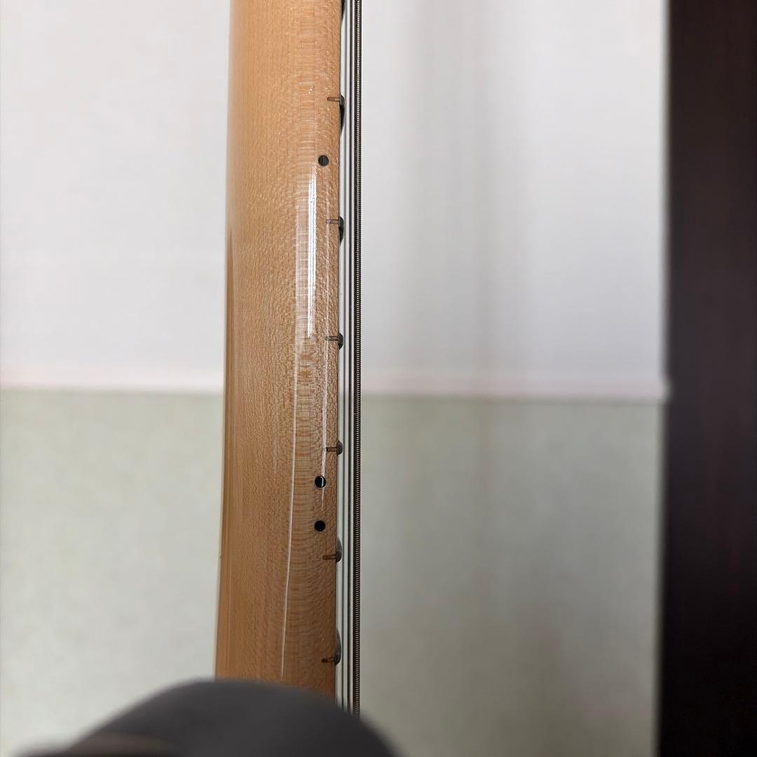 Fender Stratocaster ブラック エレキギター