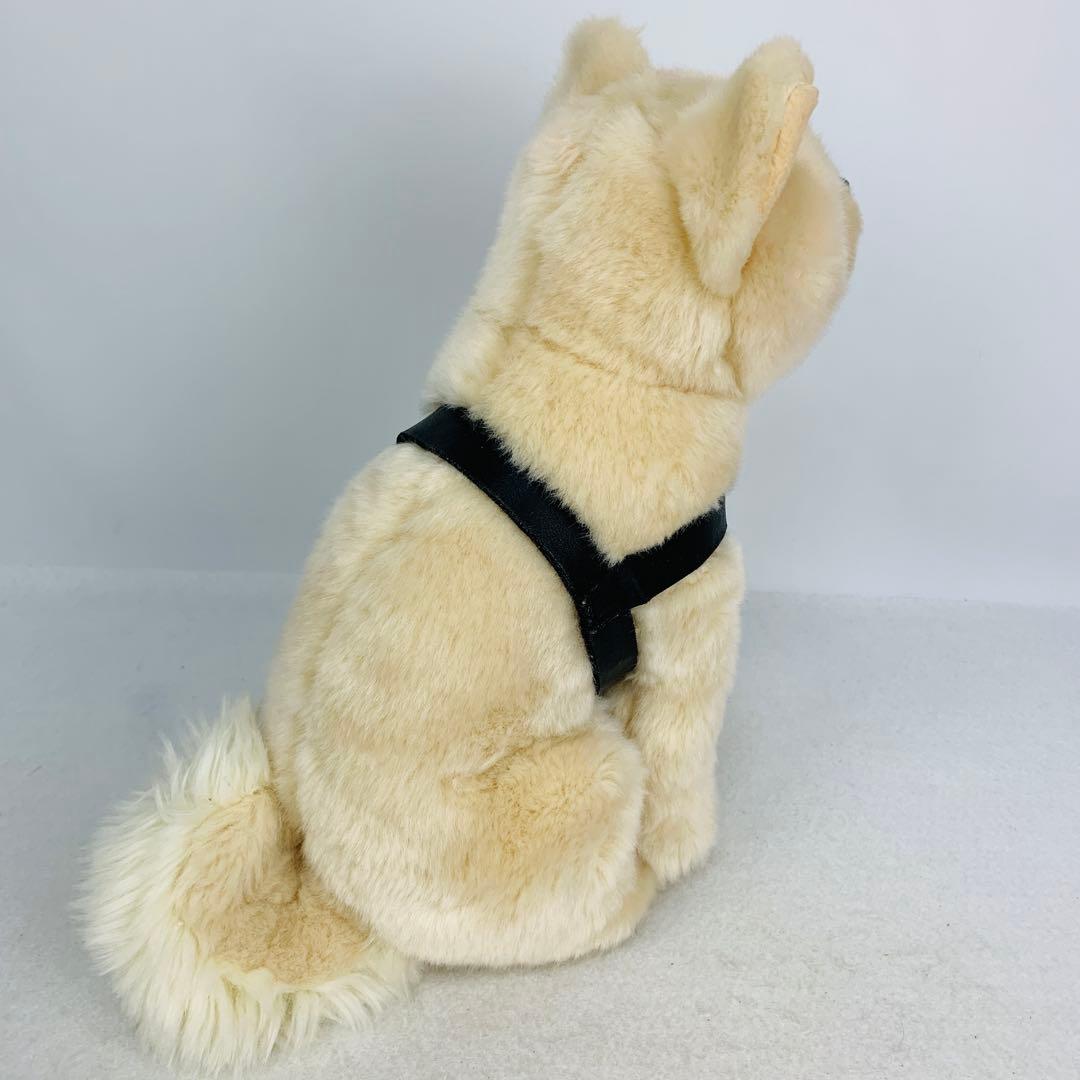 レア　国立科学博物館　秋田犬　ハチ　ぬいぐるみ　おすわり　ハチ号