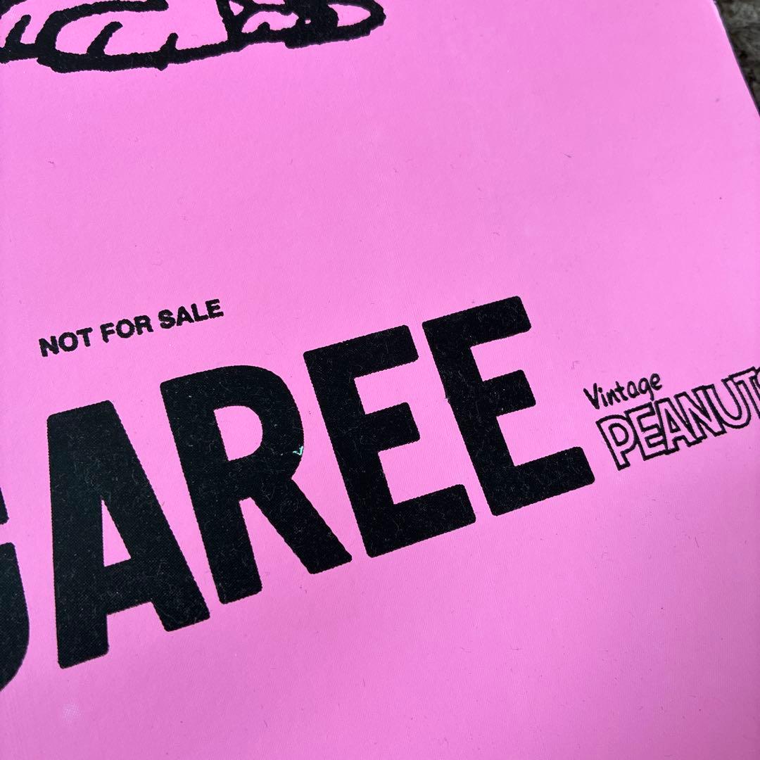 チャーリー・ブラウン VS スヌーピー ポスター