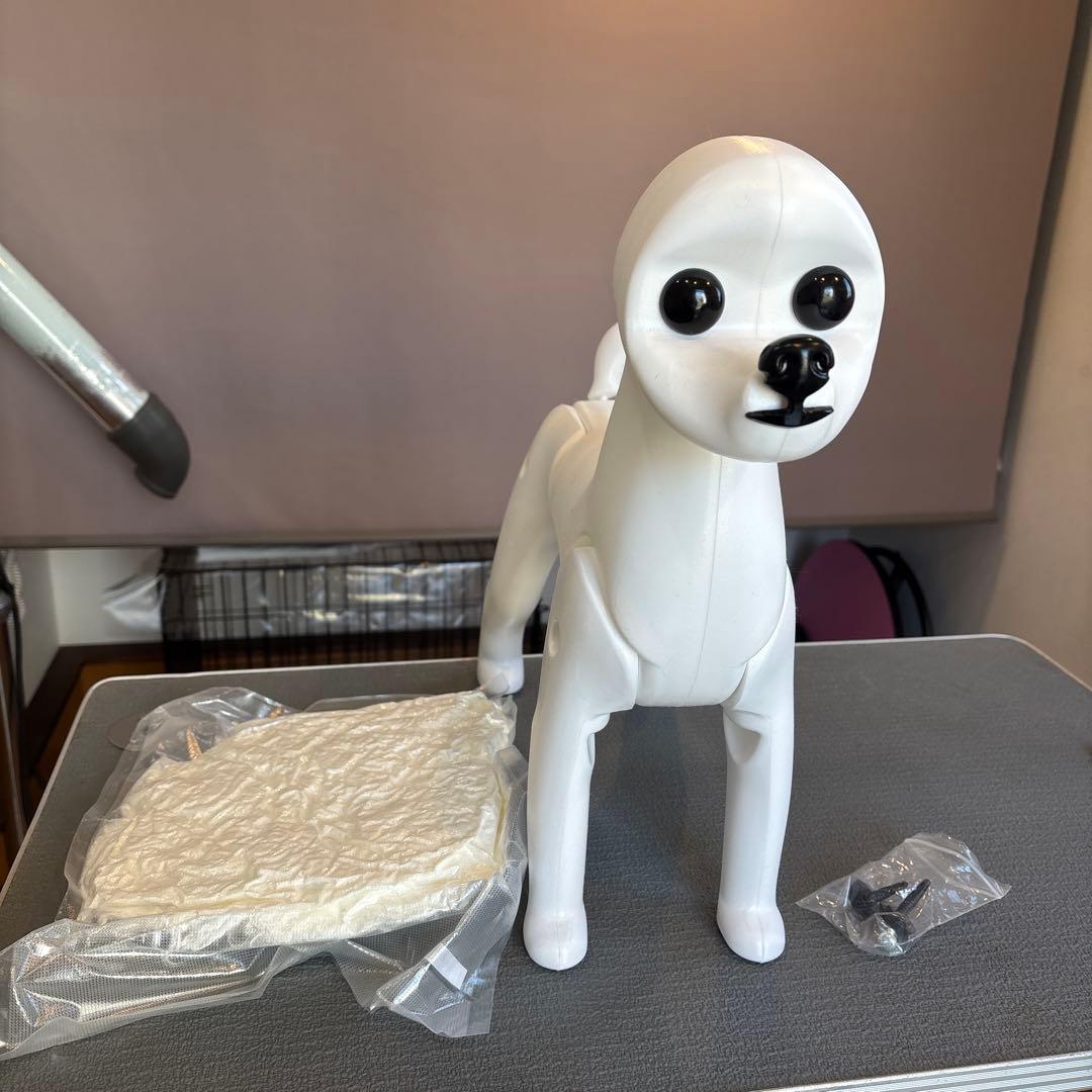 ビジョン　マネキン　ウィッグ付き