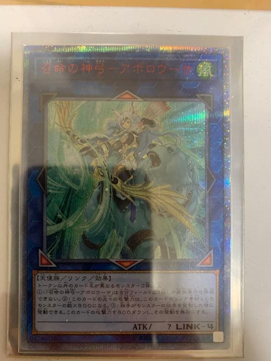 アポロウーサ20th 値下げ可