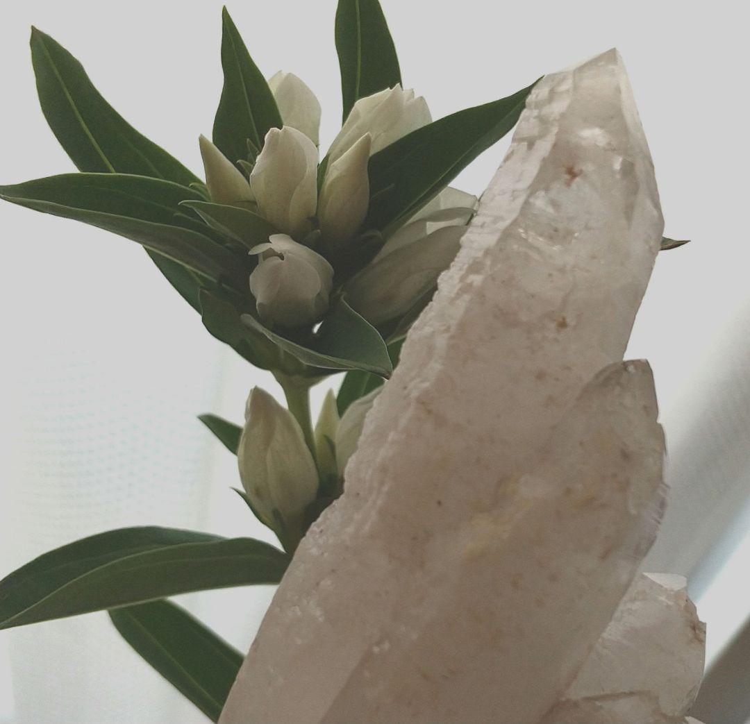 菩薩の心❇️マニカラン産 蝕像水晶 ニルヴァーナクォーツ