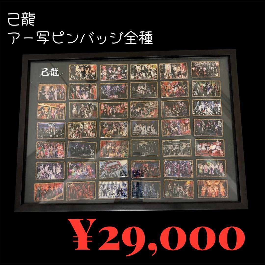 己龍 アー写 ピンバッジ 全種