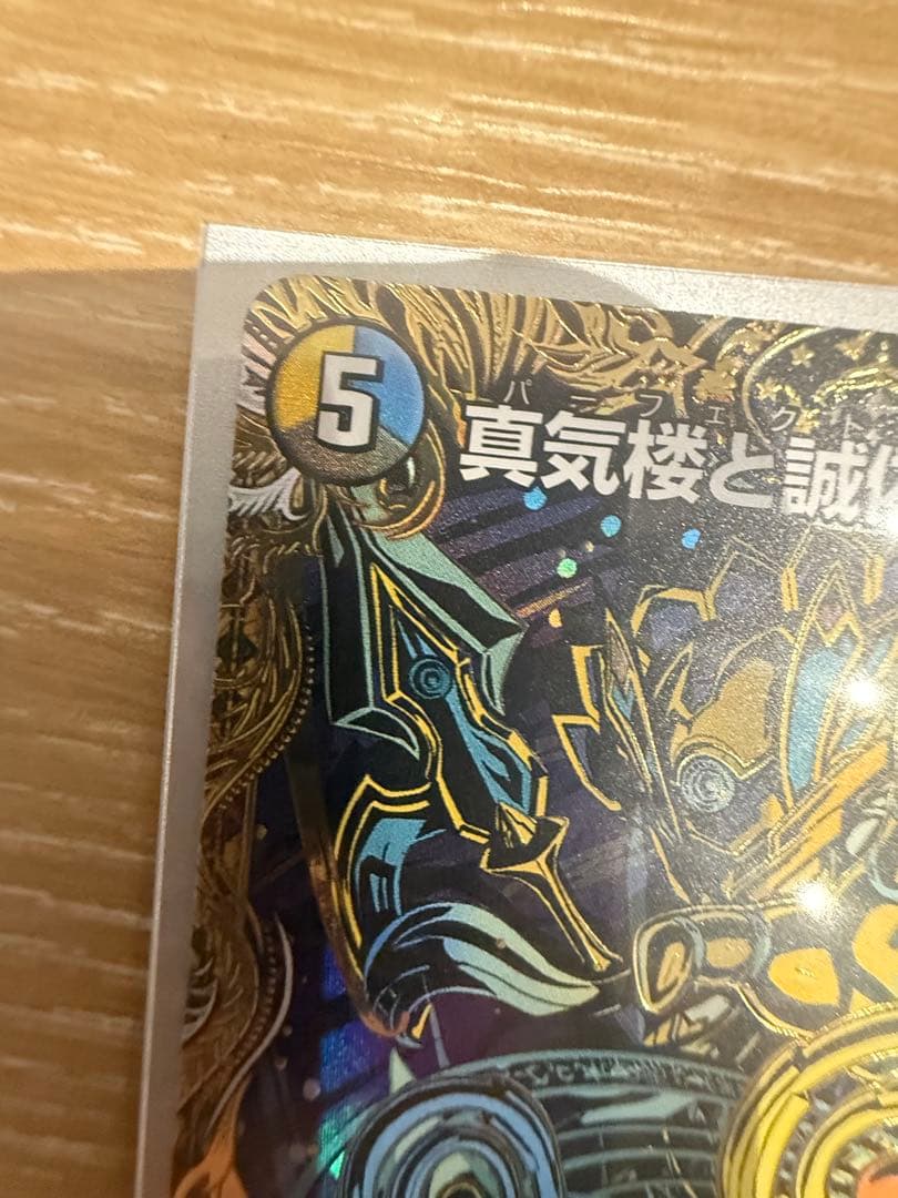 真気楼と誠愚感の決断