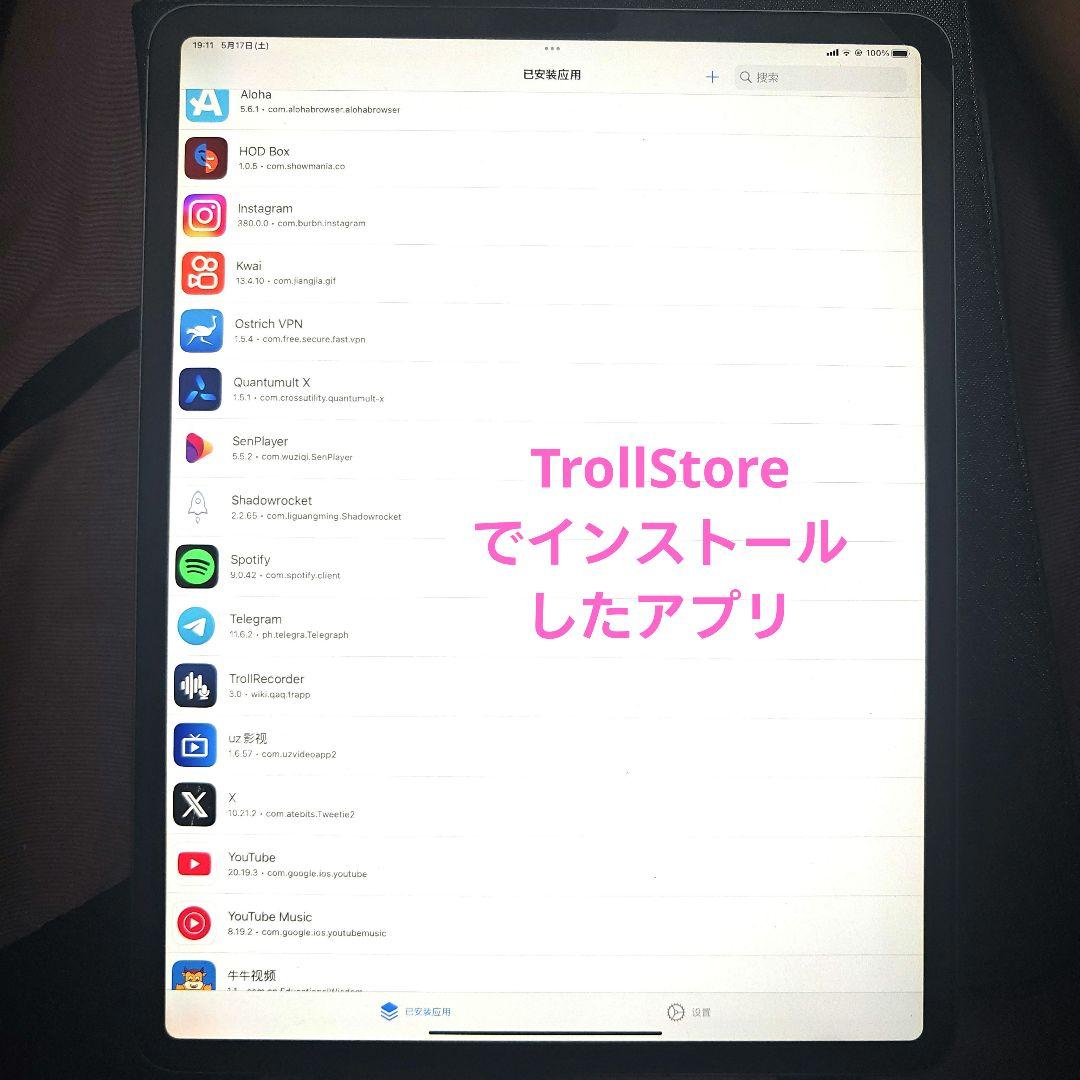 【超美品】iPadPro12.9/第3代/Cellular/512GB/本体のみ