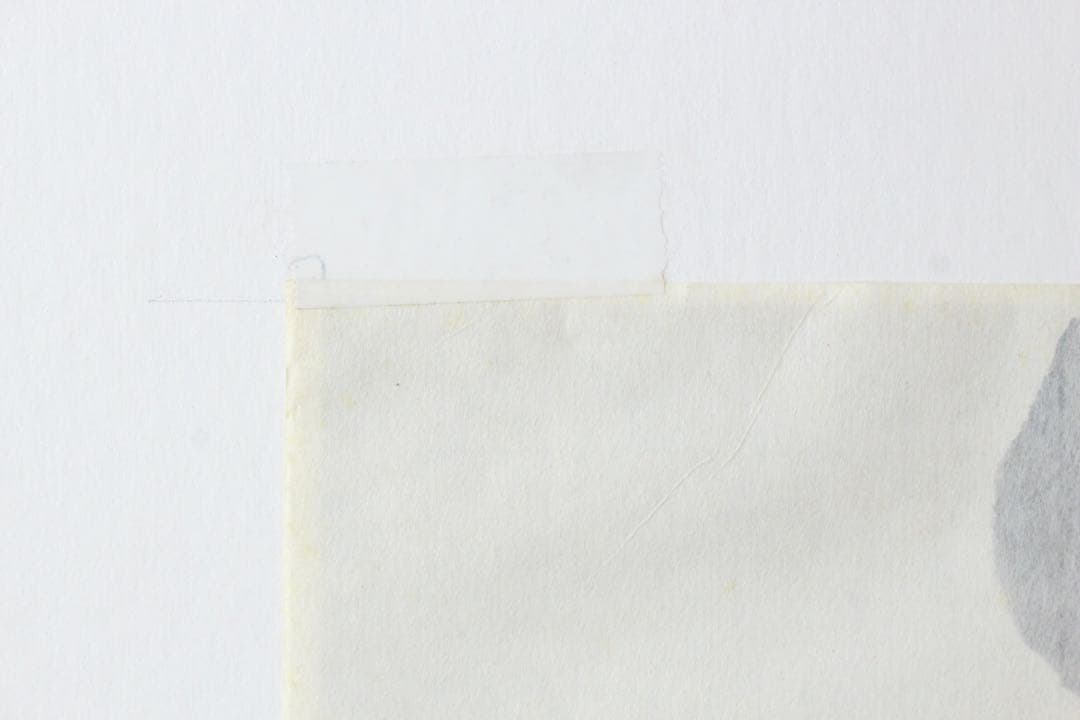 No5302 額装　版画　中国　八大山人　蝉図　水印版画　箱付　唐物　送料無料