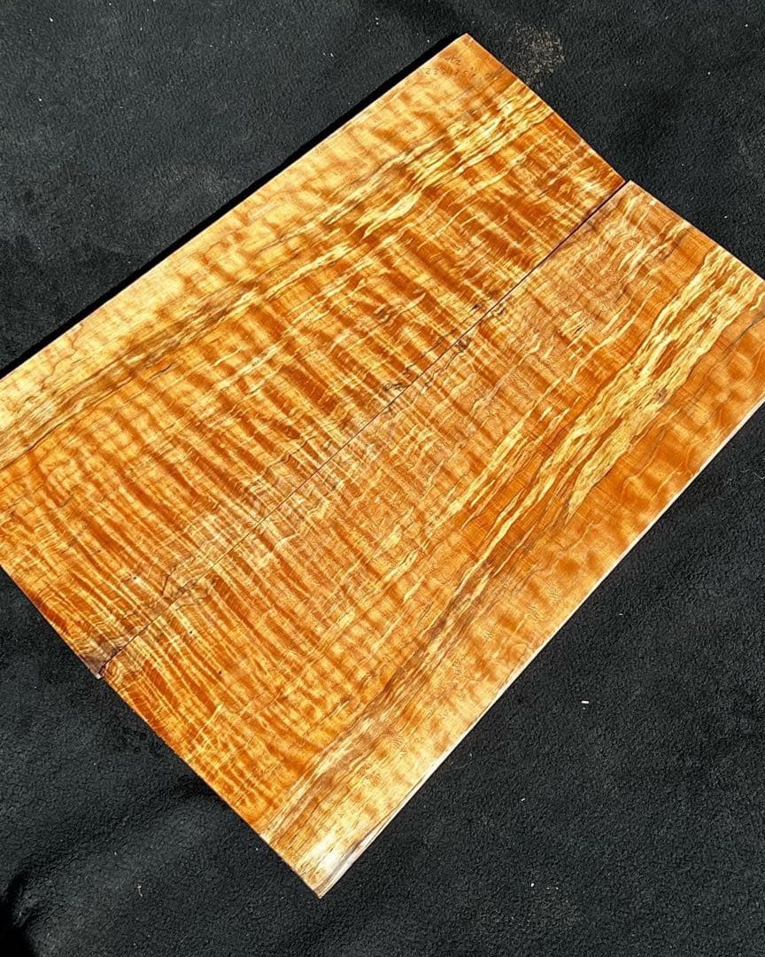 スポルト　カリメイプル　5A