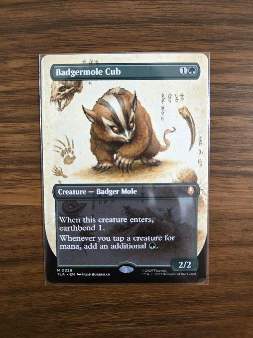 ラスト一枚(326)■ボーダーレス■アナグマモグラの仔　英語版　アバター　MTG