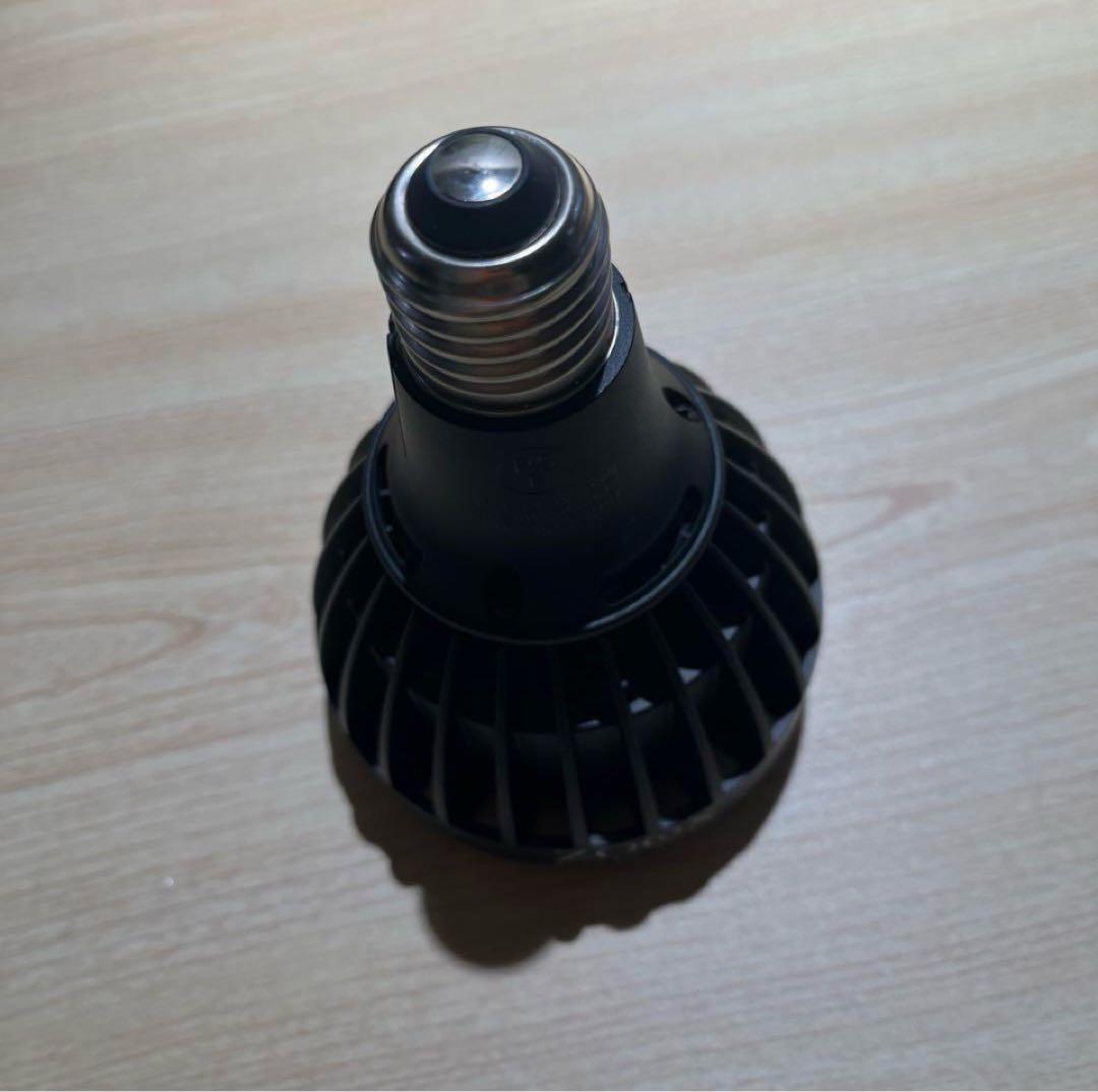 ライト・照明器具 ZOOX TropicalRAYS